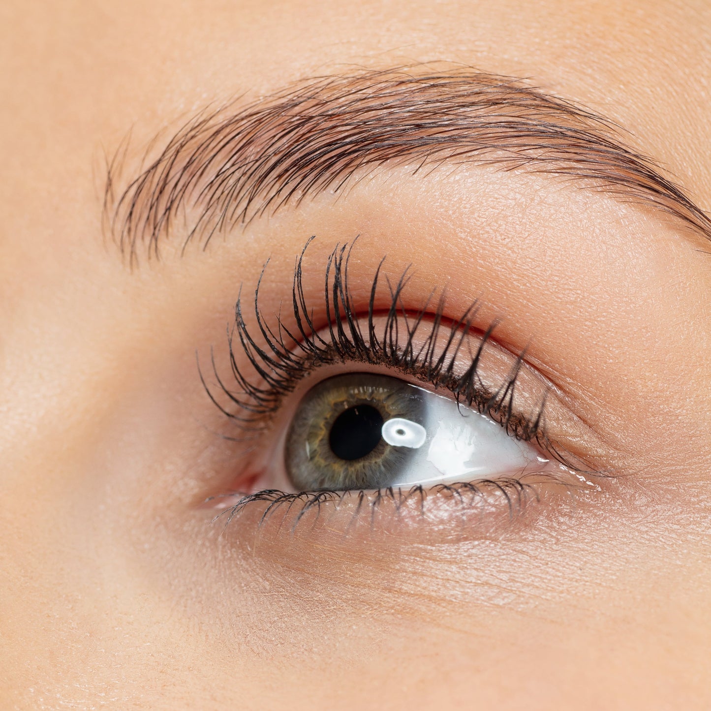 Lifting de Pestañas