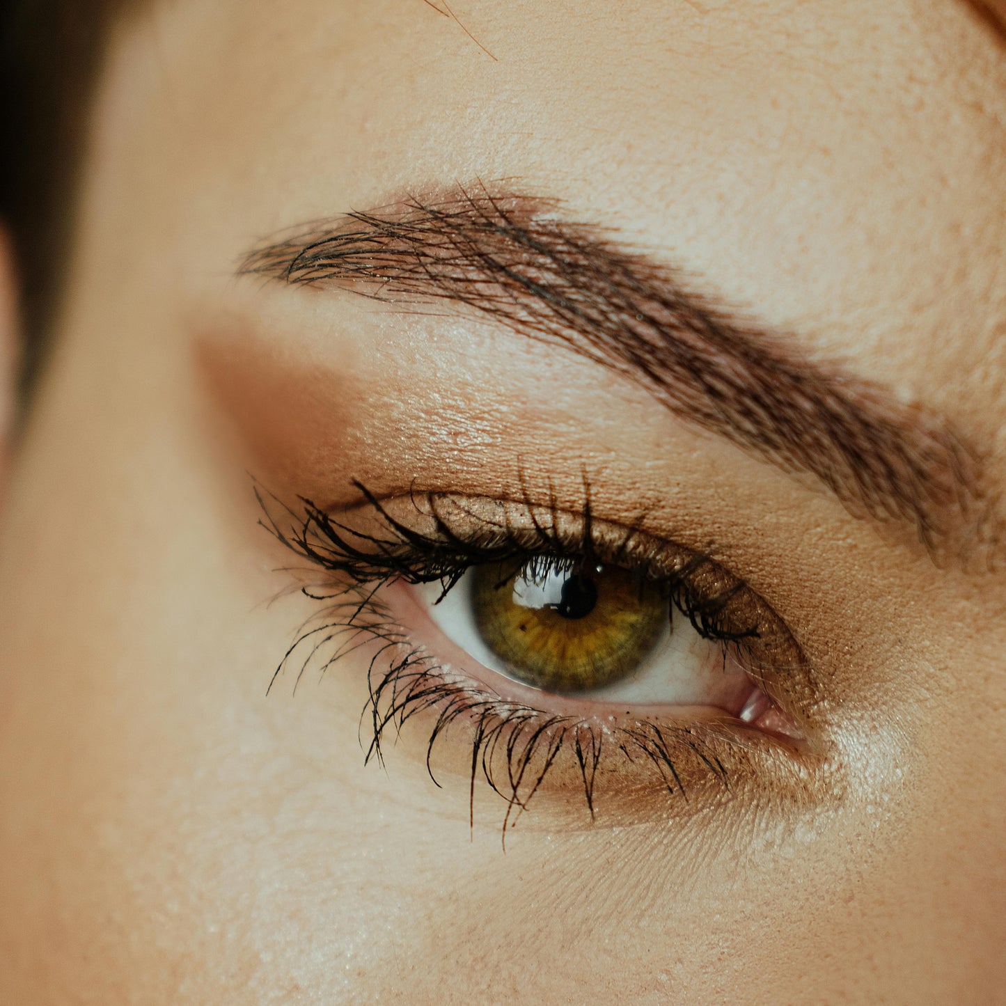 Tinte de Cejas y/o Pestañas